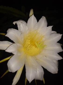 image 06