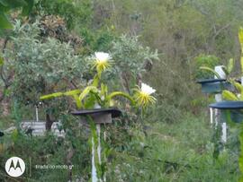 image 03