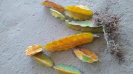 image 01