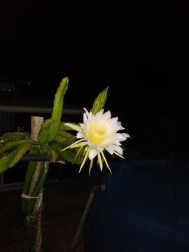 image 08