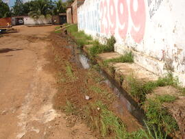 image 46