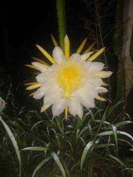 image 03