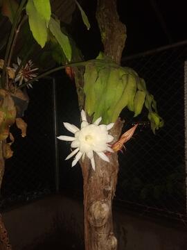 image 02