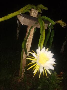 image 02