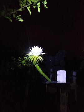 image 07