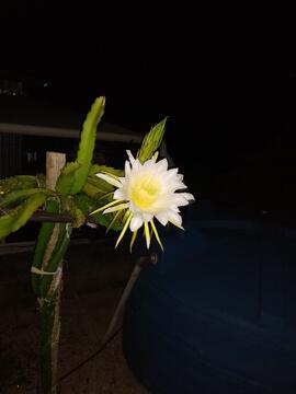 image 09