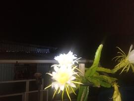 image 05