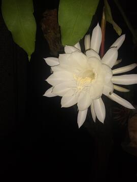image 04
