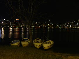 image 95