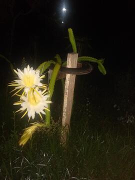 image 02