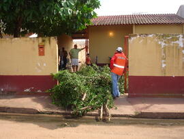 image 37
