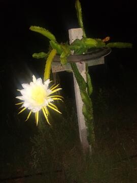 image 08