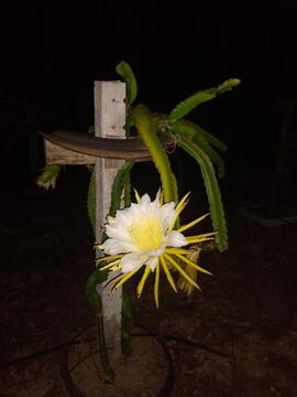 image 17
