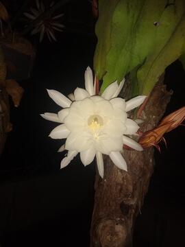 image 03