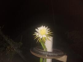 image 07