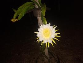 image 03
