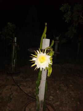 image 07