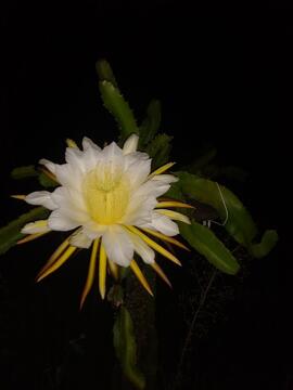 image 07
