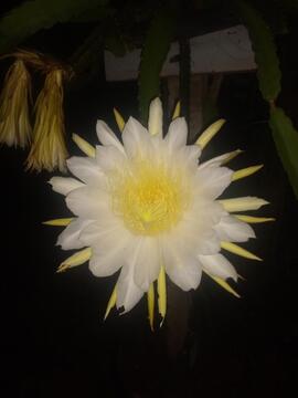 image 04