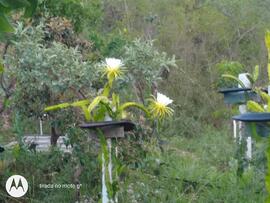 image 01