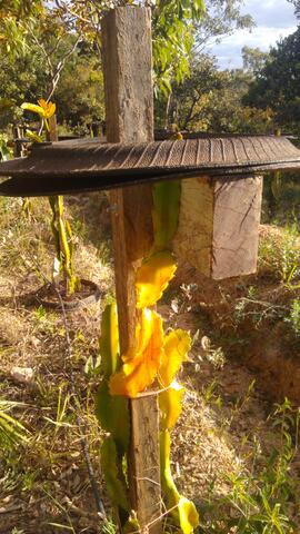 image 02