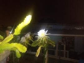 image 06