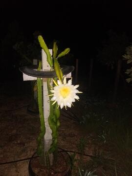 image 23