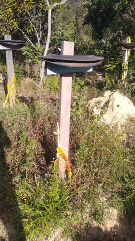 image 08