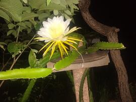image 01