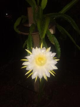 image 05