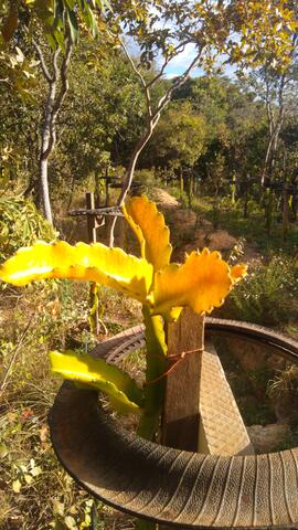 image 03