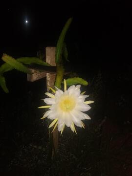 image 01