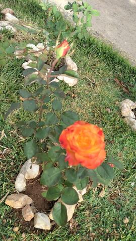 image 05