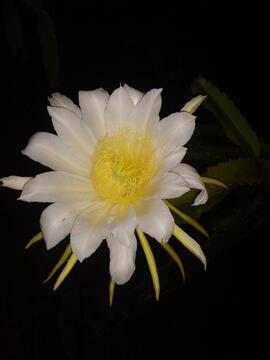 image 05