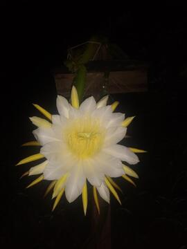 image 09