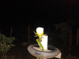 image 02