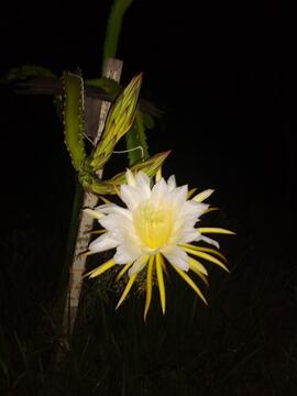 image 09