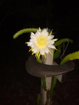 image 14