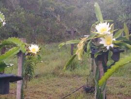 image 08