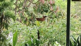 image 04