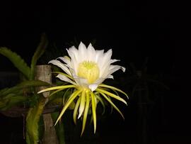image 02