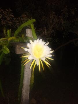 image 09