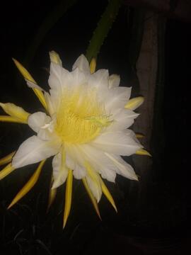 image 06