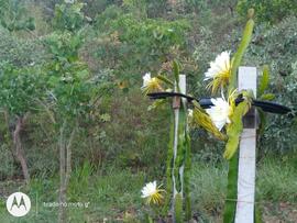 image 04