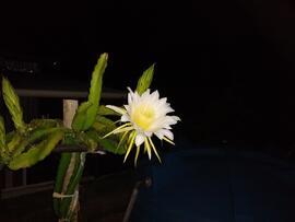 image 07