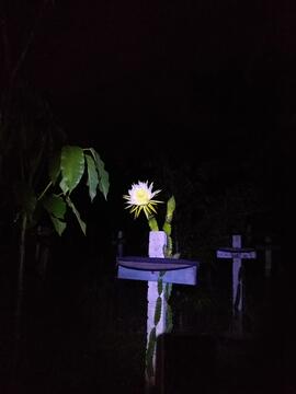 image 06