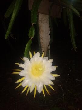 image 08