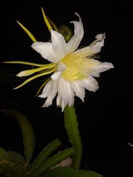 image 04
