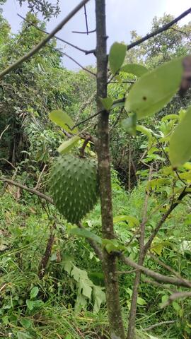 image 05