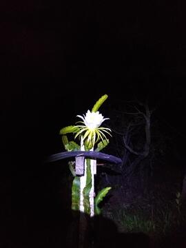 image 04